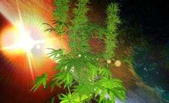 Weed 3d Live Wallpaper Full Screenshot