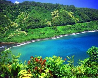 Wallpaper Hawaii Route De Hana Nature For