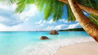 4k Beach Nature Wallpaper