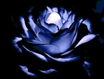 Midnight Blue Wallpaper