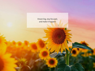 September S Sunflower Skies Heather Piazza