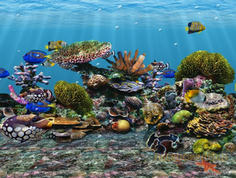 Fish D School Screensaver Screenshots Fiber With Resolutions