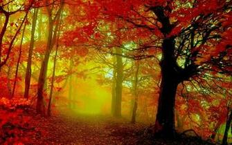 Autumn Wallpaper