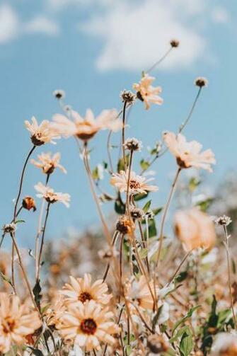 Emily Morcos On Spring Season Of Restoration In