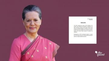 Cwc Meet Resolutions Passed As Sonia Becomes Interim Chief