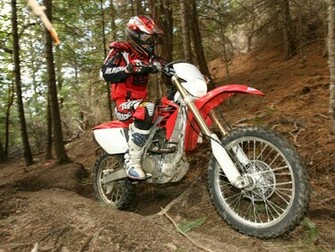 Even After Tearing Through The Woods Of Southern Oregon Fox