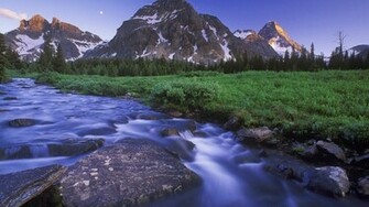 Wallpaper Screen Savers Google Screensaver