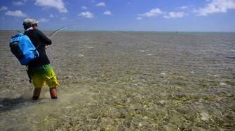Saltwater Fly Fishing Wallpaper Fo