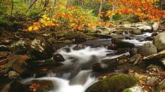In Autumn Great Smoky Mountains Tennessee Cool Background
