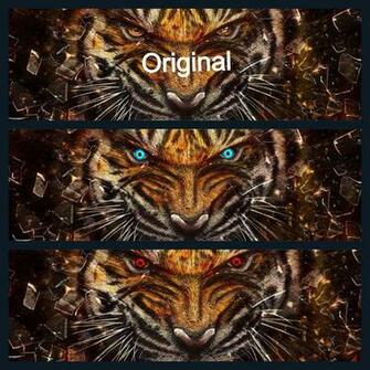 A Close Up Of The Tiger Eye Color Change Awesome Random
