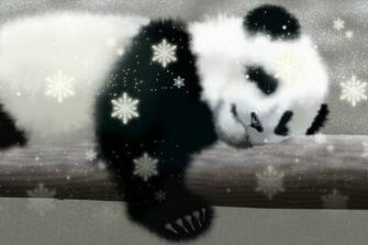 Cute Baby Winter Animals Wallpaper Top