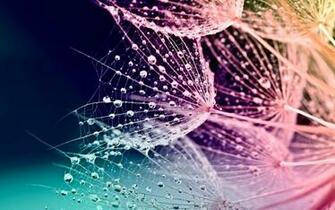 Spring Desktop Wallpaper Amazing Collection