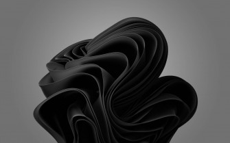 Windows Bloom In Black Wallpaper