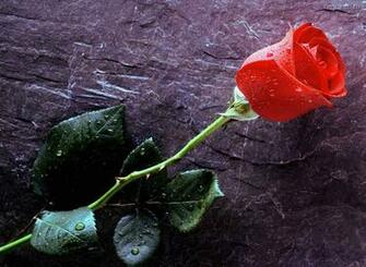 Desktop Phone Wallpaper 3d HD Colour Design