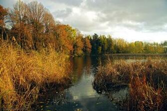 Wallpaper Nature Trees River Kamish Desktop