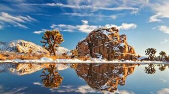 Joshua Tree National Park Wallpaper