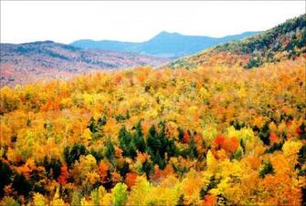 Mainefoliage Photo Gallery The Best Of Years Past