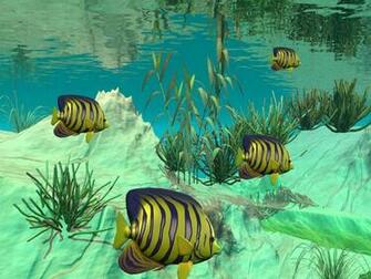 3d Live Fish Wa Screenshot Thumbnail