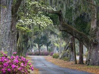 Savannah Georgia