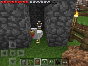 Minecraft Pocket Edition Image My Chicken