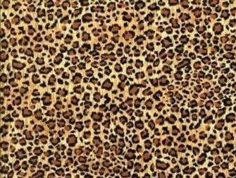 Leopard Print Wallpaper To Your Cell Phone Animal