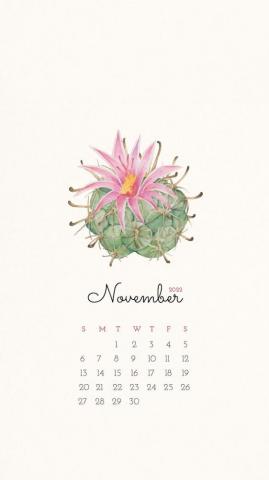 Cactus November Calendar Mobile Photo Rawpixel