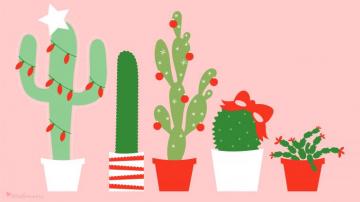 December Christmas Cactus Calendar Wallpaper Sarah Hearts
