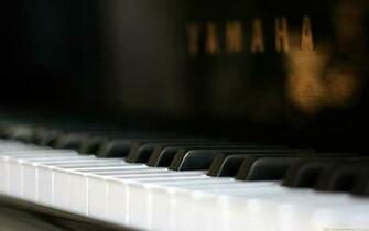Grand Piano Wallpaper Moallpapers101