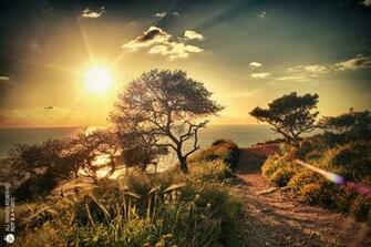 Scape Haifa Royba Sunsets Wallpaper Desktop