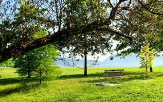 Nature Heaven Wallpaper Bench