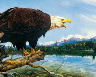 Mighty Bald Eagle High Quality And Resolution Wallpaper