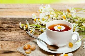 Good Day Every Image High Resolution Wallpaper