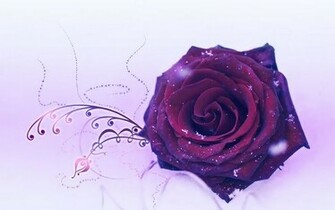 Beautiful Rose Desktop Laptop Wallaper Listed In Category