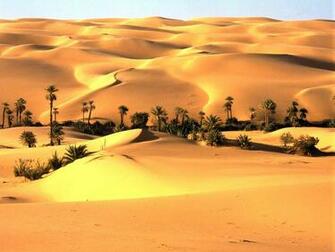 Desert Oasis Nature Wallpaper In Resolution