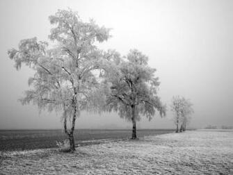 Wallpaper Box Winter Wonderland High Definition Desktop