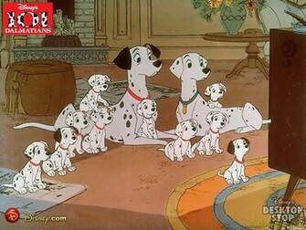 Dalmatian Picture Photo Wallpaper