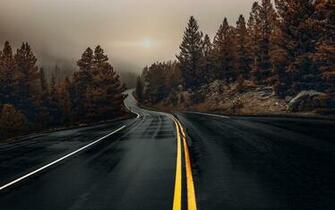 Wallpaper Wet Road Trees Fog Morning Autumn HD