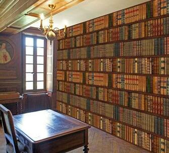 Library Bookcase Old Books Wall Mural Decor Photo Wallpaper Art