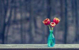 Vase Wallpaper