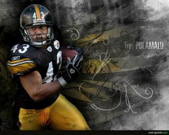 Skins Troy Polamalu Google Background Themes