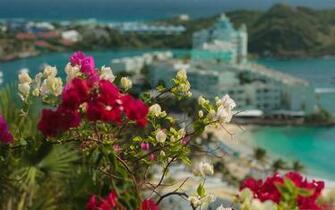 Flowers Everywhere Mac Wallpaper Allmacwallpaper