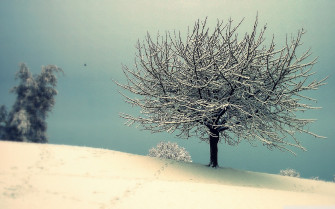 Vintage Winter