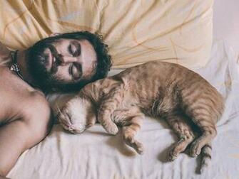Image Cat Men Beards Sleep Animals