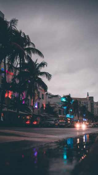 Miami Wallpaper For Mobile Phone HD Pictures