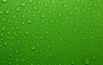 File Name Wallpaper For Green Resolution