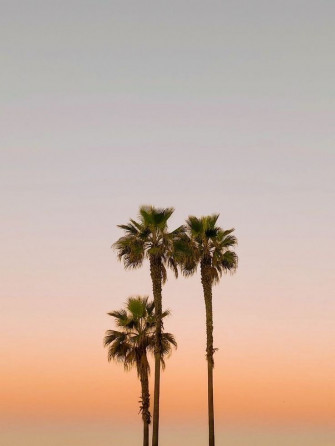 Pingl Sur Summer Wallpaper