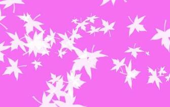 Abstract Pink Leaves High Quality Background Pictures