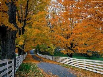 Fall Wallpaper Deary Chibbi