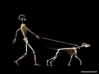 Wallpaper Art X Ray