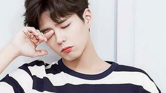Bo Gum Wallpaper Background Larutadelsorigens